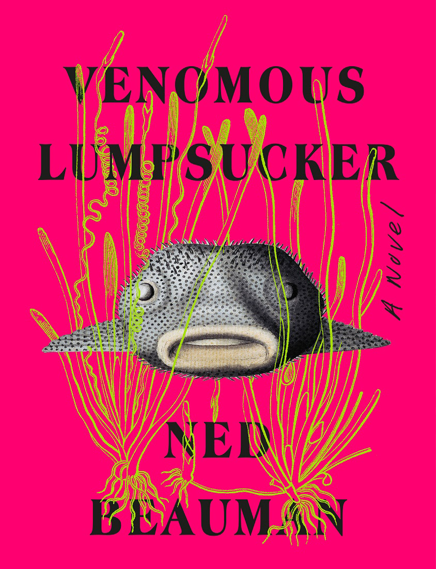 Conversation On Ecology Peter Wolfendale Thomas Moynihan Ned Beauman