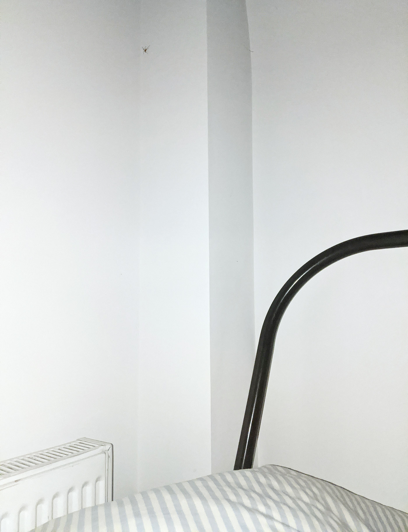 PXL 20201103 072341060