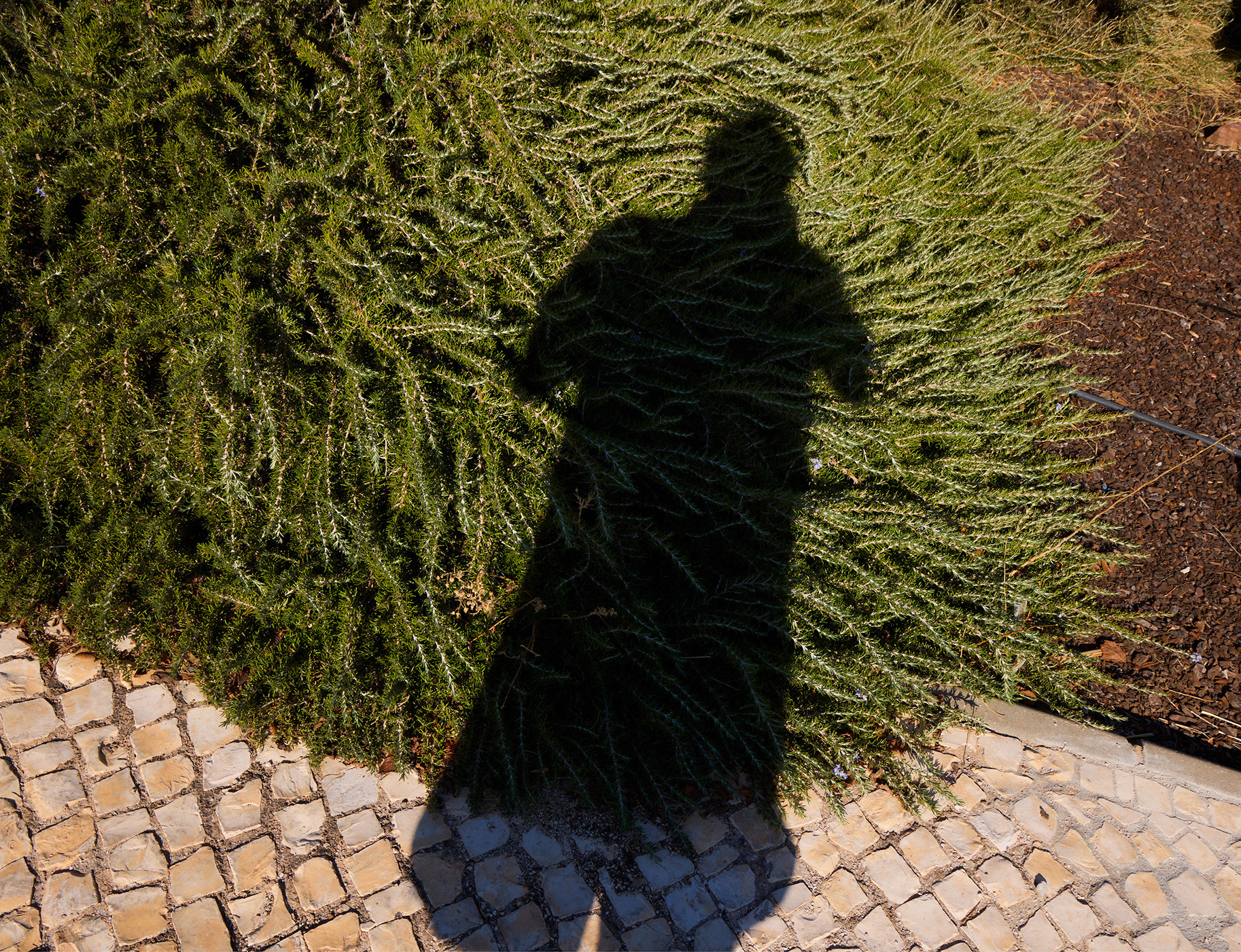 172 179 Feature Portugal8