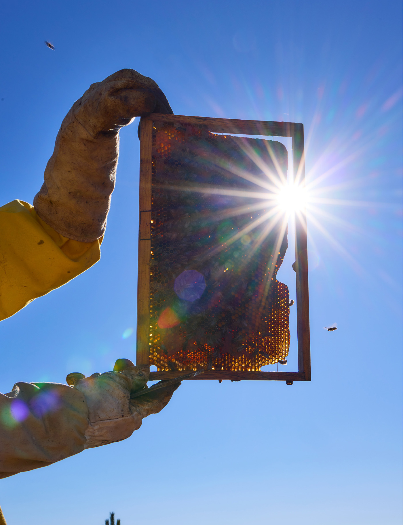 172 179 Feature Portugal9