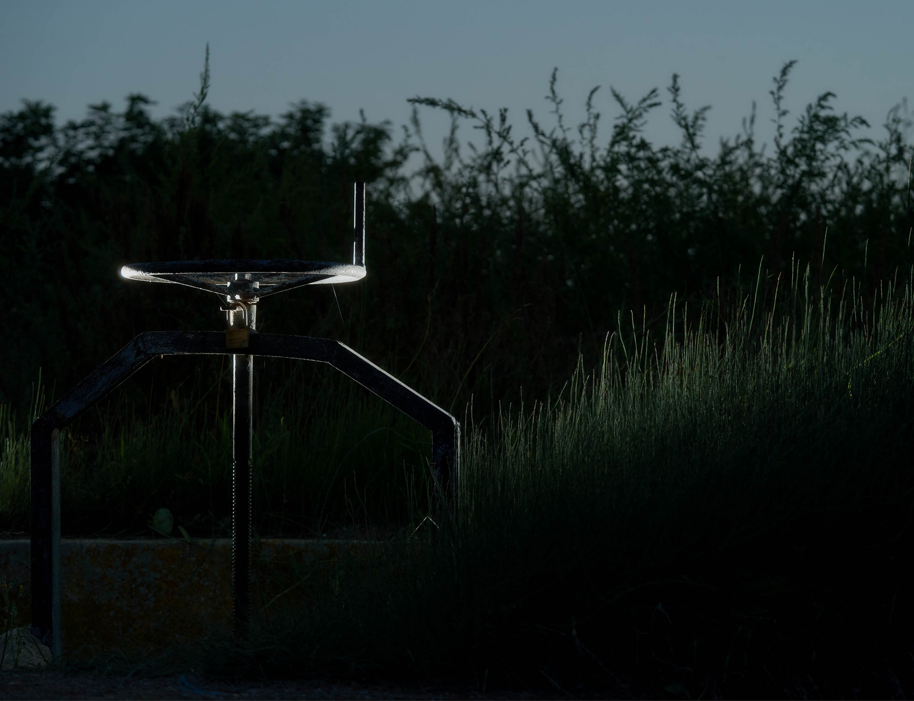 156 163 Feature Museros12