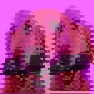 Eds Letter Entertainment