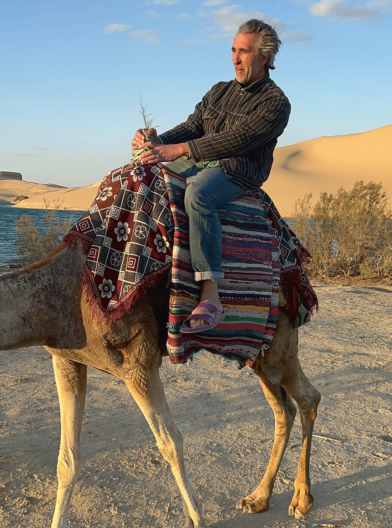 Gareth By Celeste Doig