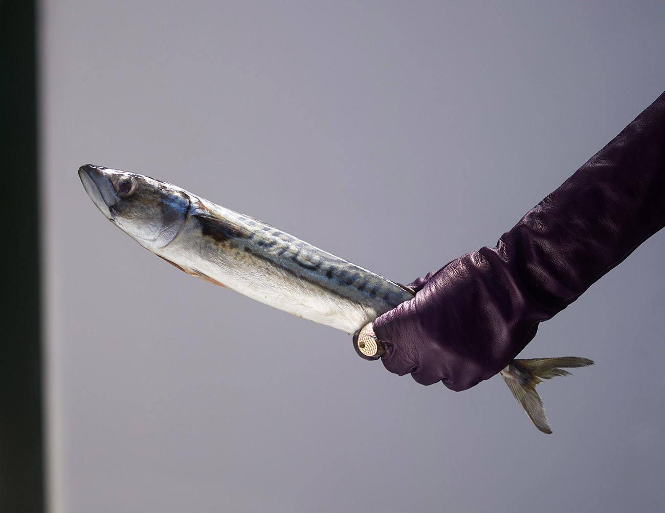 TANK 230343 Adobergb FINAL