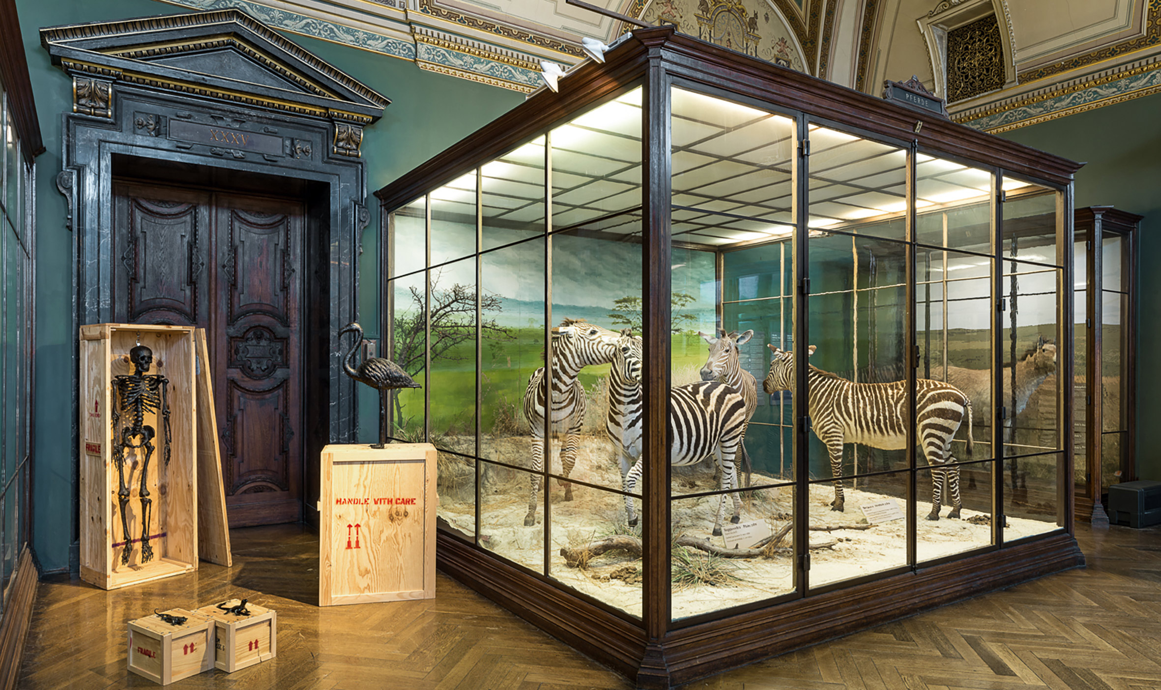 6. Mark Dion Tar Museum 2017 Cropped CMYK