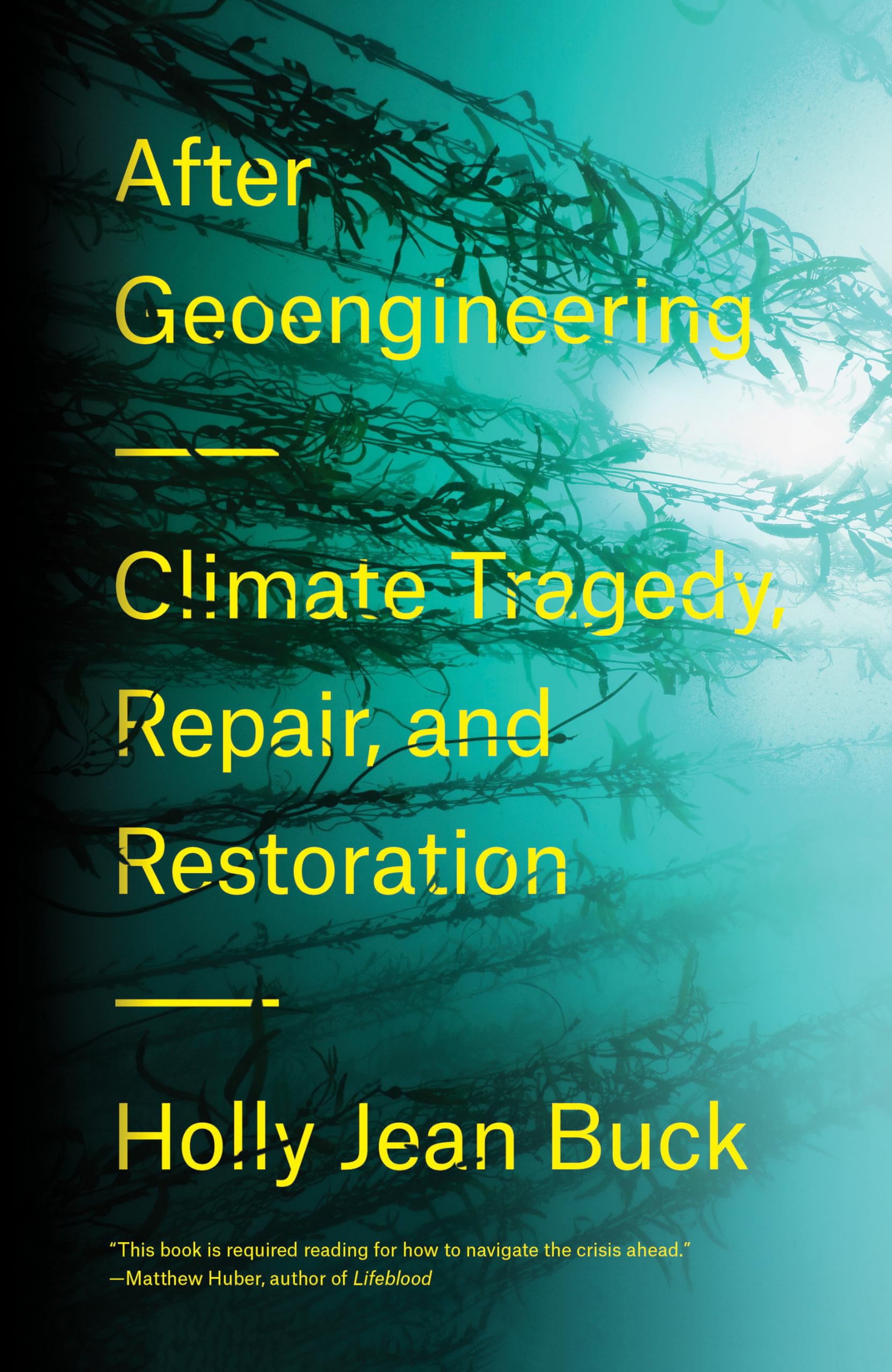 Holly Jean Buck After Geoengineering