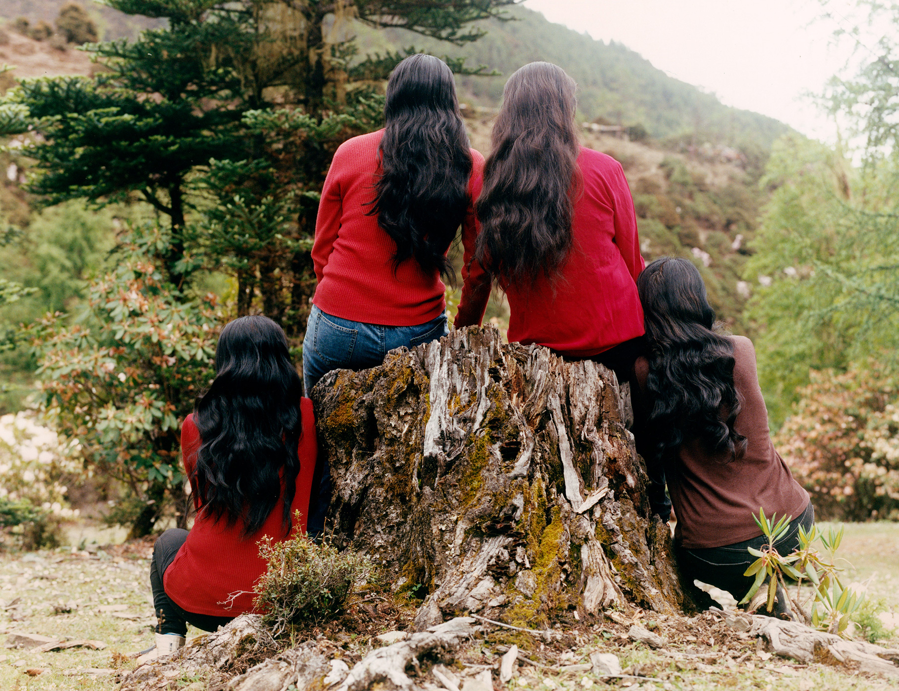 202 211 Fash Softmountains3