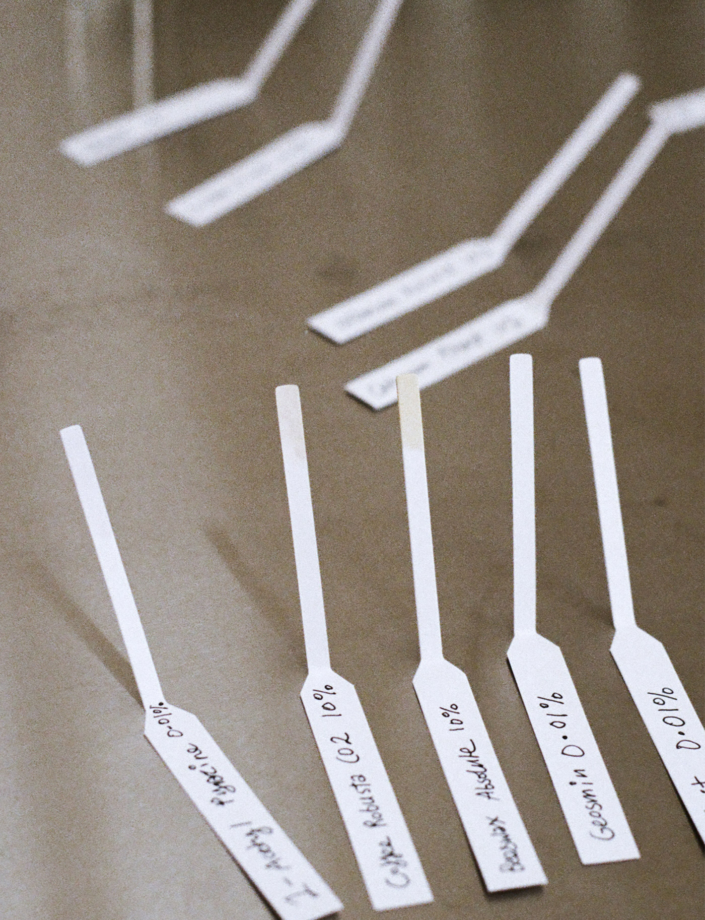 Feature Billiemuraben Racheal Crowther 1