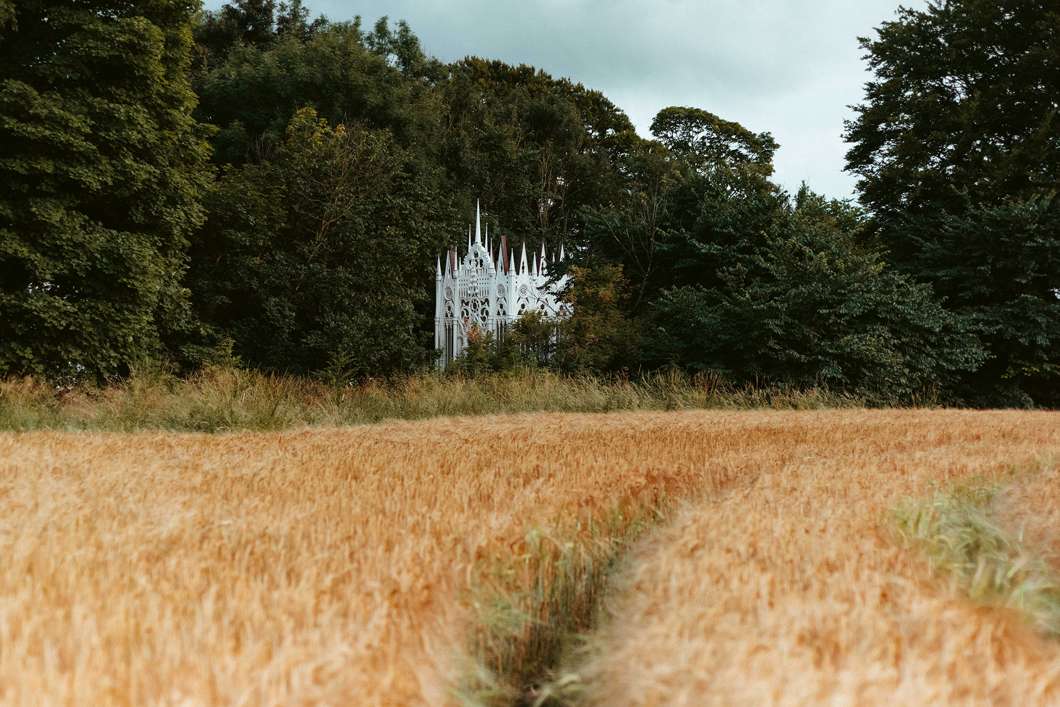 Jupiterbarley Ameliaclaudia 8RGB