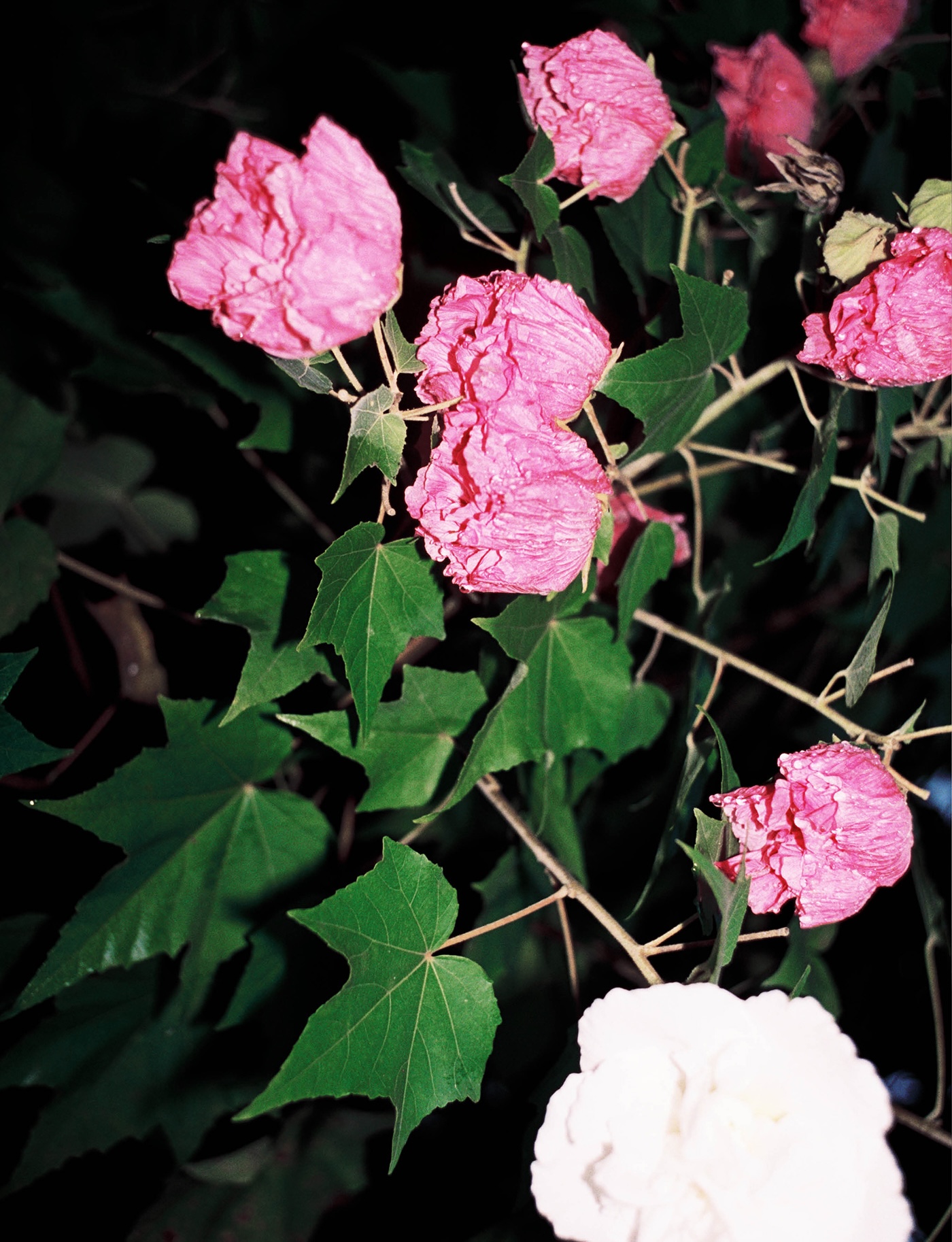 090 097 Fash Textileseekers3 (1)