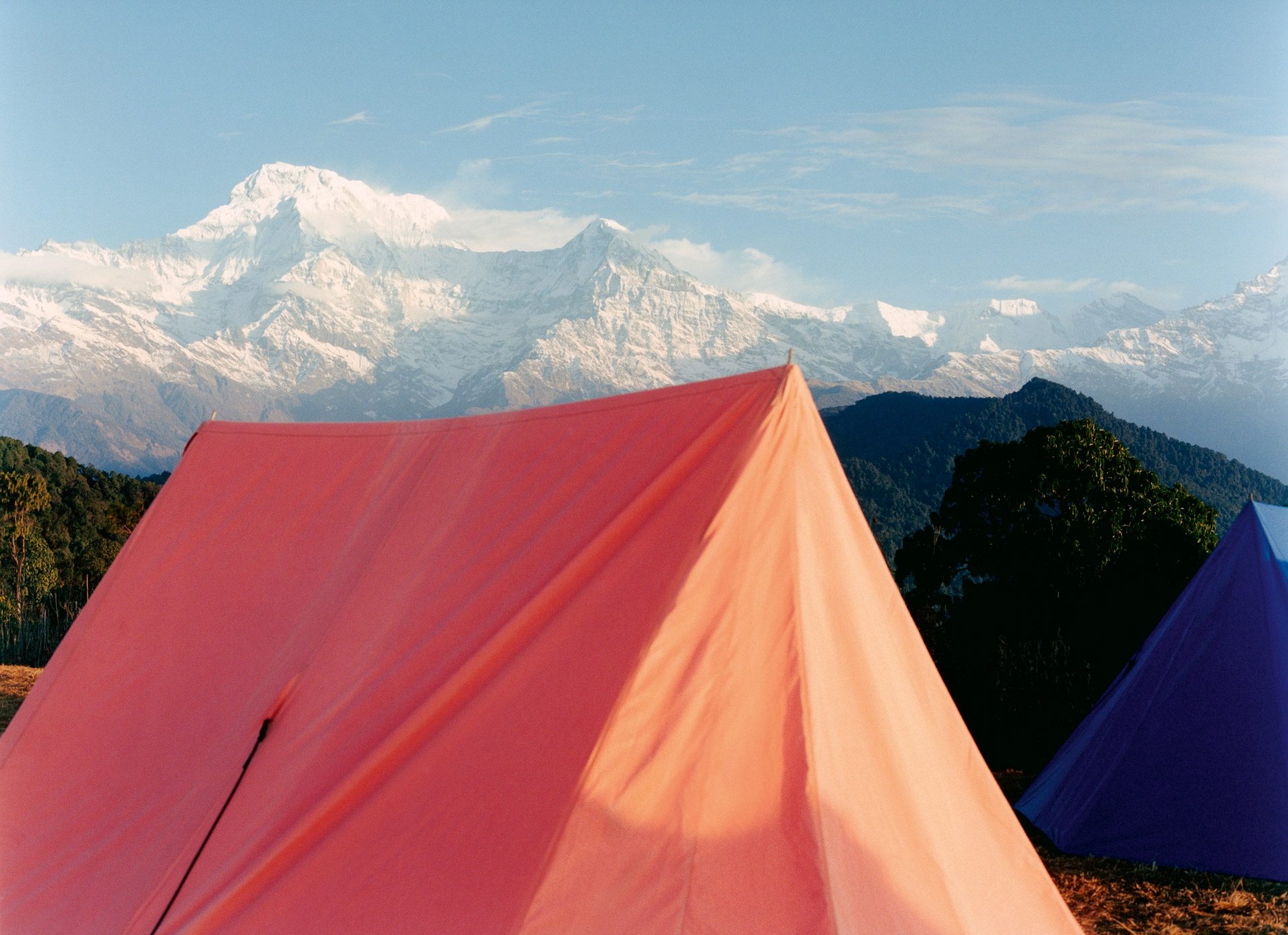 Buddhawasbornhere (1) Rgb