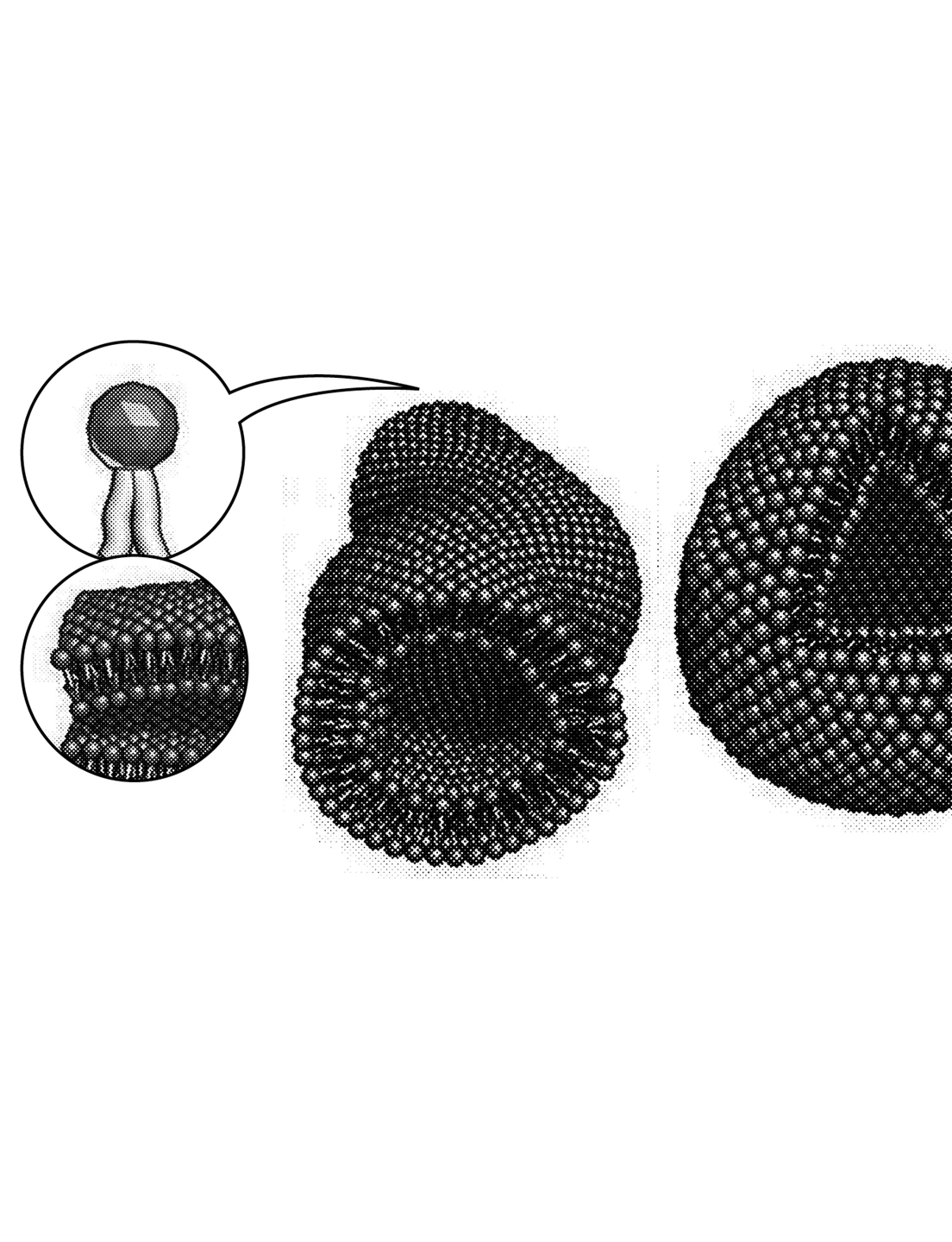 090 099 Feat Daisy Hildyard6