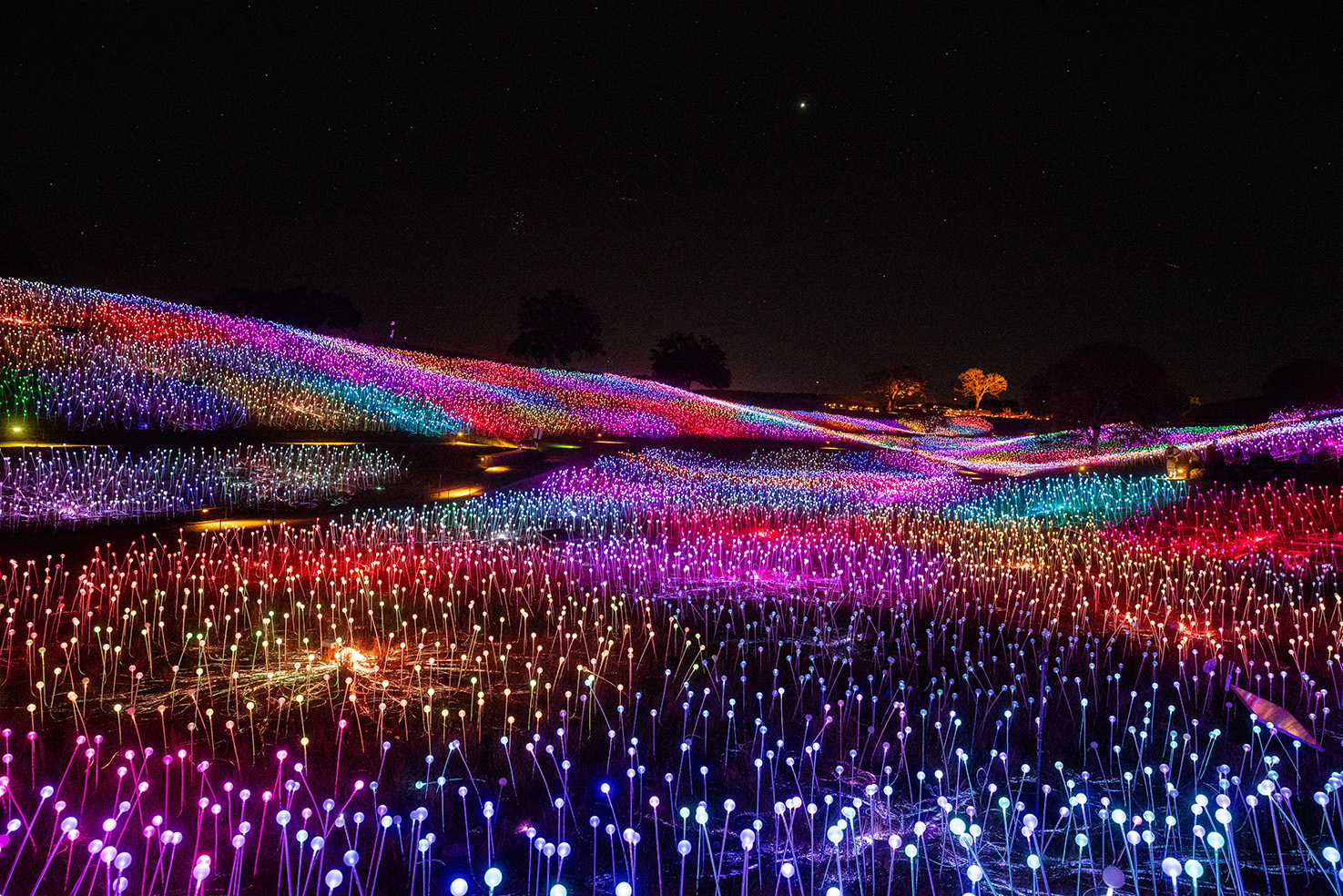 Photo Credit Acacia Productions Rgb