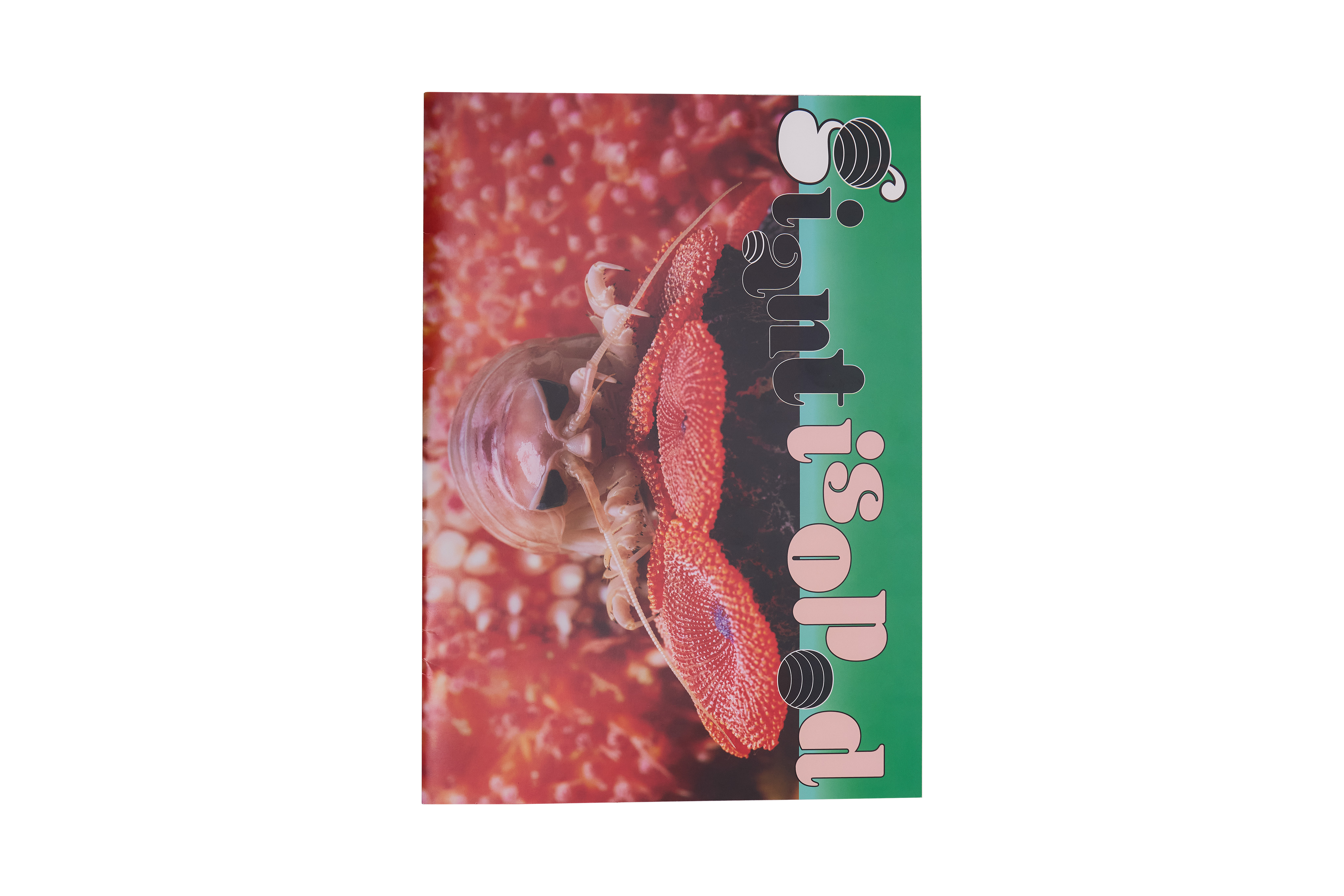 TANK Spring 2025 Lucy Fleming Brownlucy Fleming Brown 244 Cropped