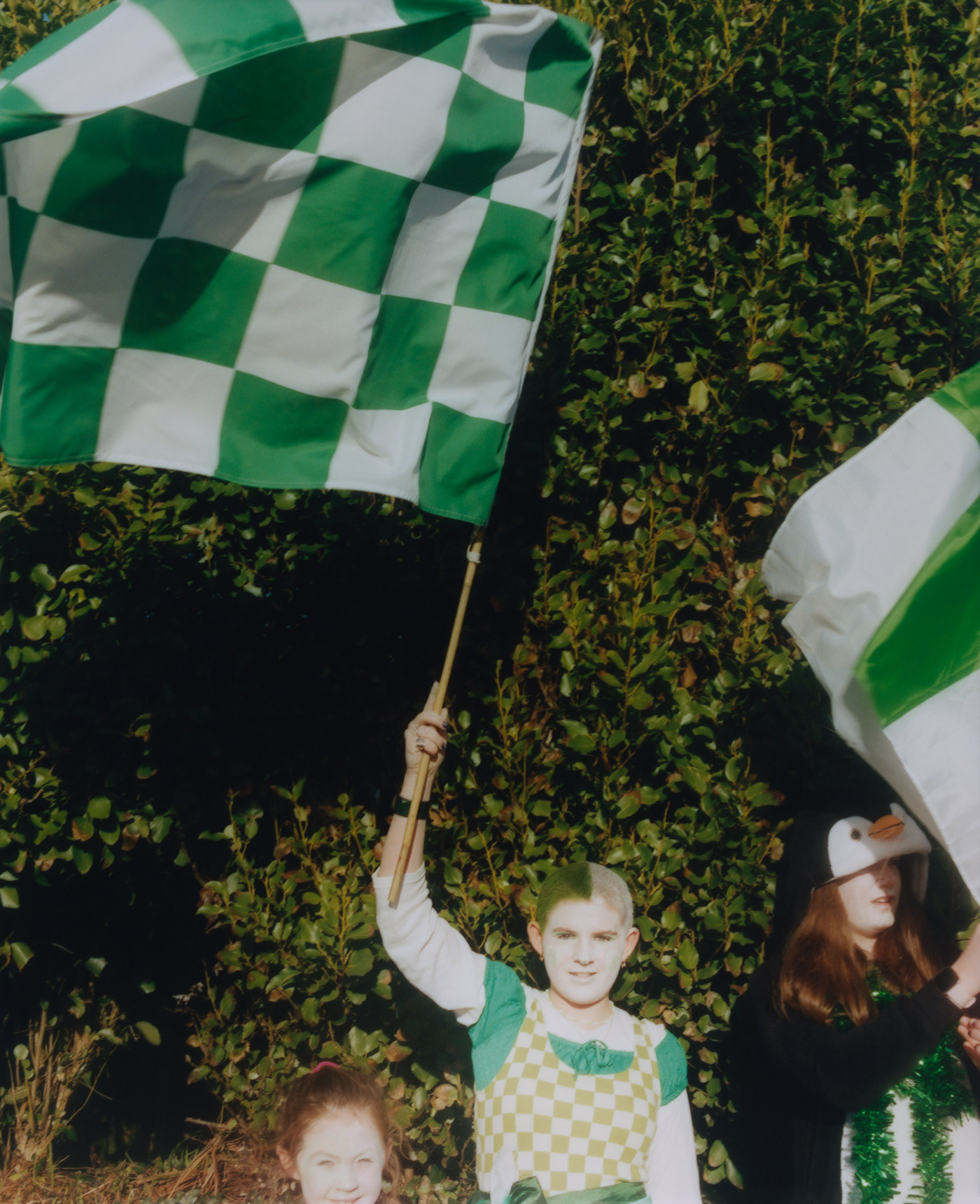 WRENS (14)Crop 11 V1 RGB