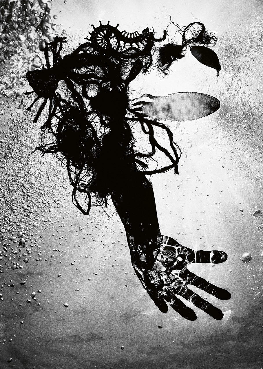 Onorato Krebs Water Column 14 Upscaled Rgb