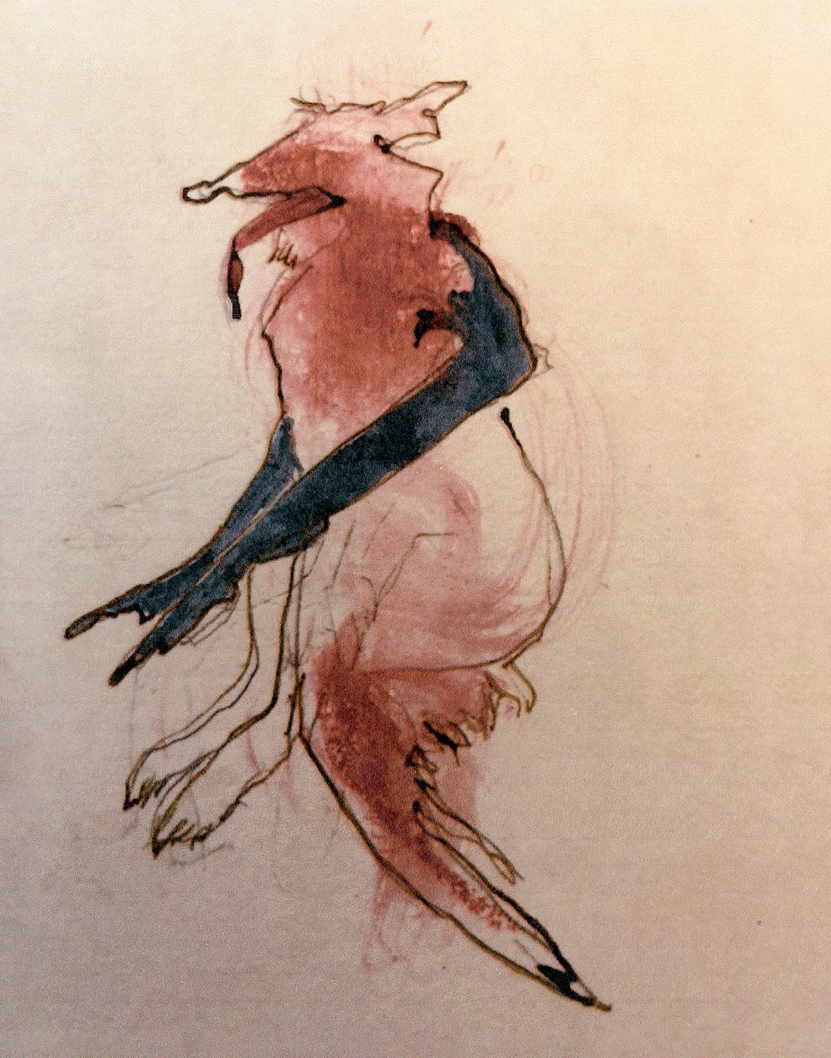 Annecarsonwrongnorma US Cover Indd 2022 (Rgb)