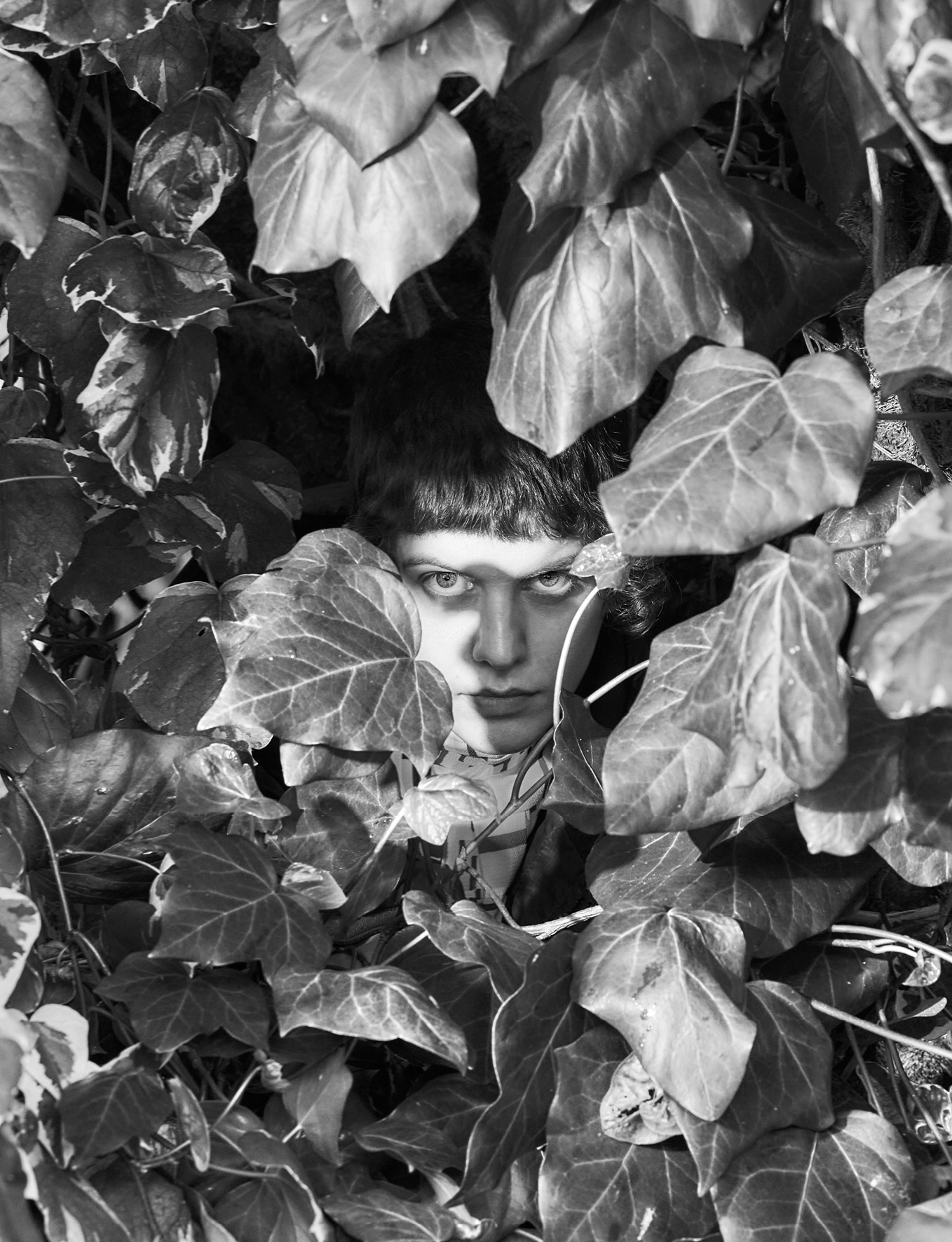 Horibil Creatchers 14