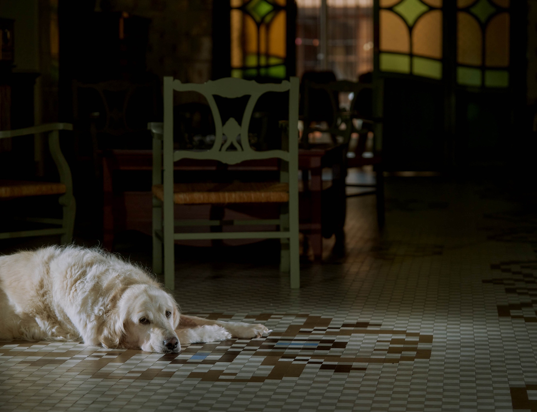 156 163 Feature Museros11