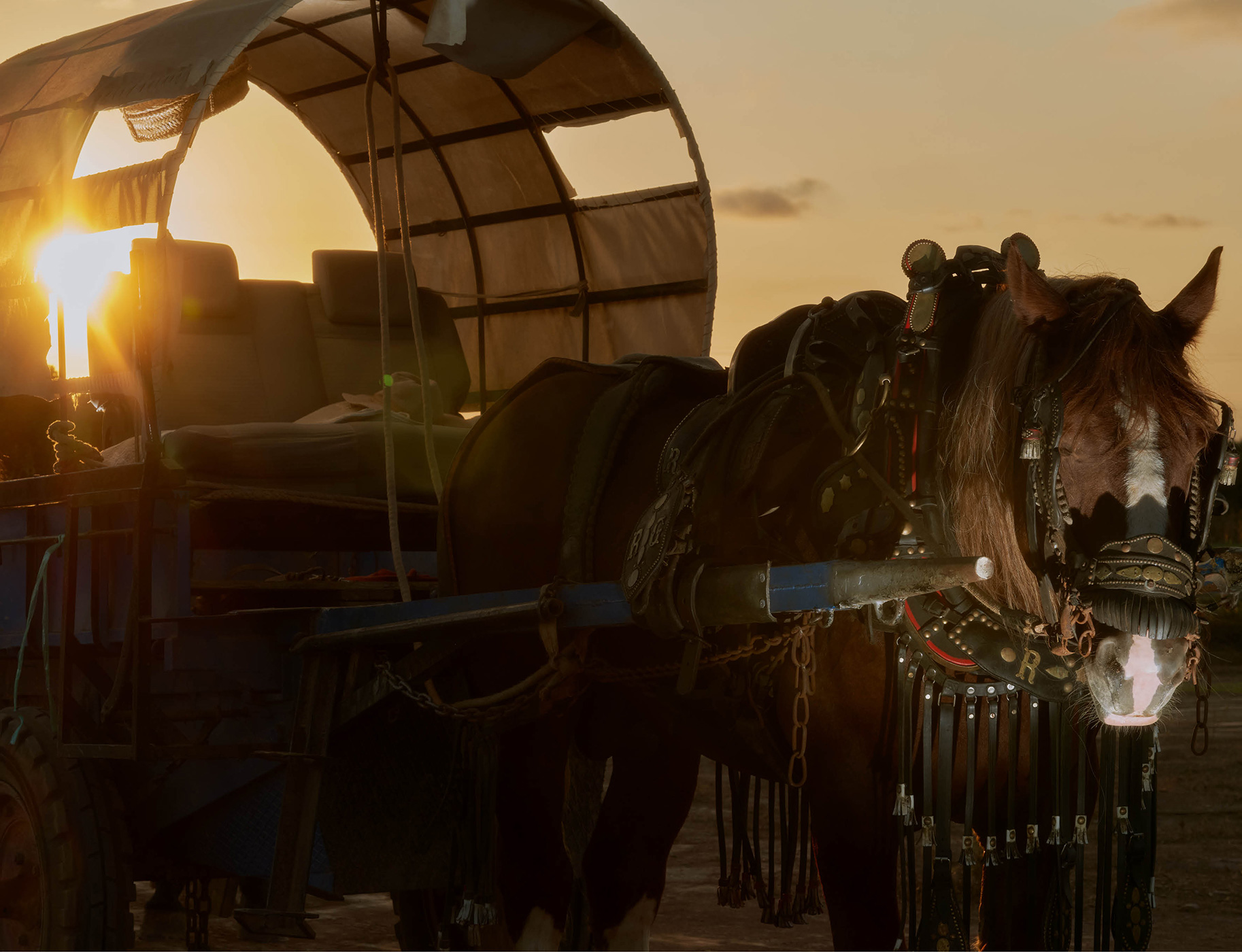 156 163 Feature Museros7