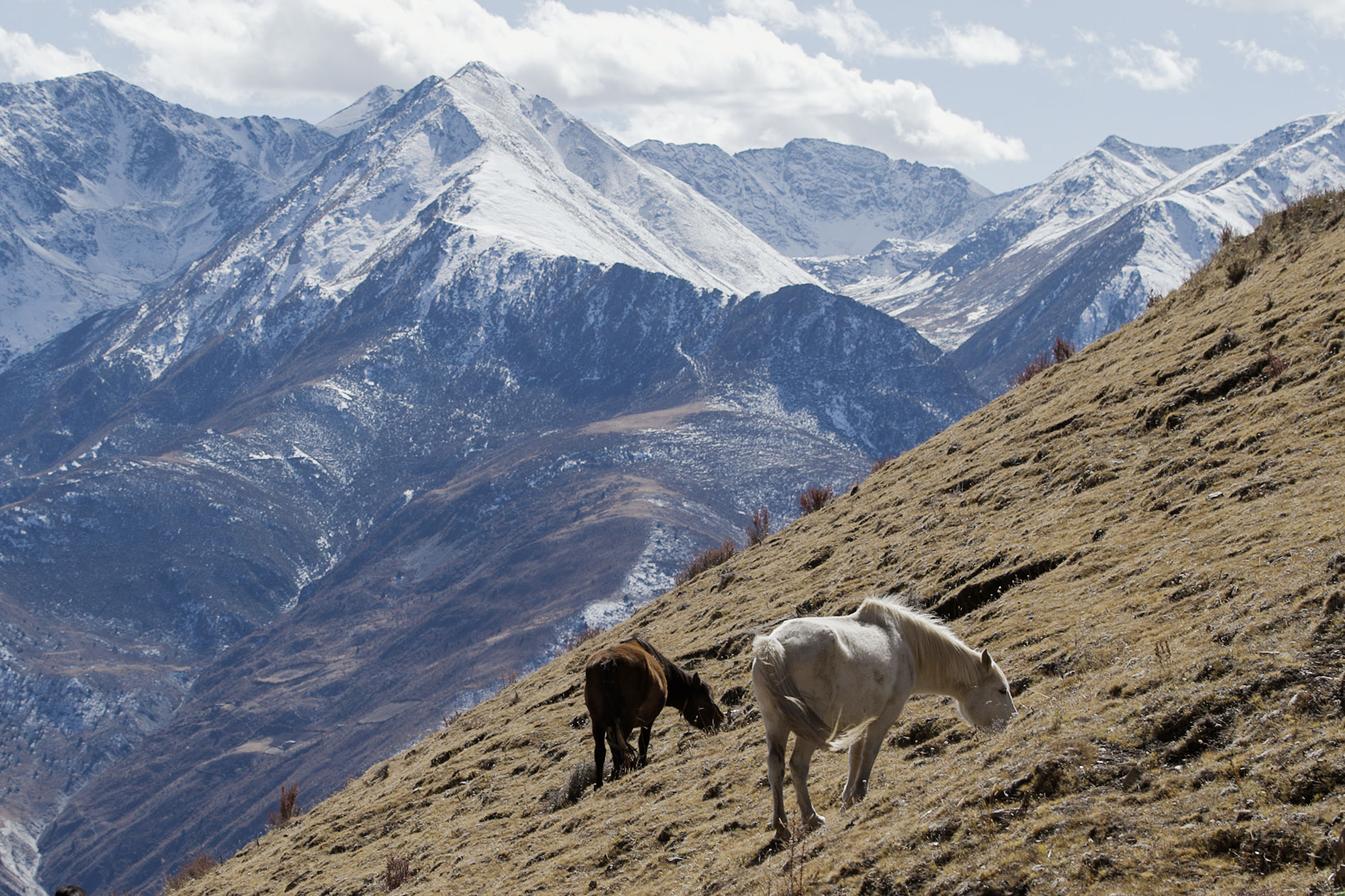 Screen Shot 2020 11 24 At 11.51.31 PM (2)