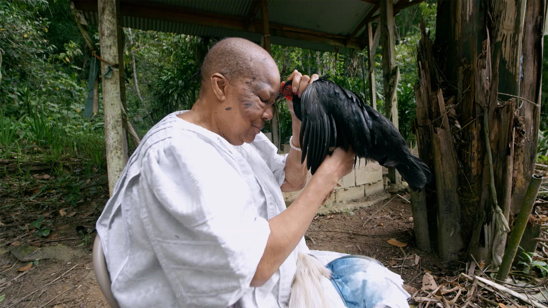 R.I.P. Germain Mew, 2022 I