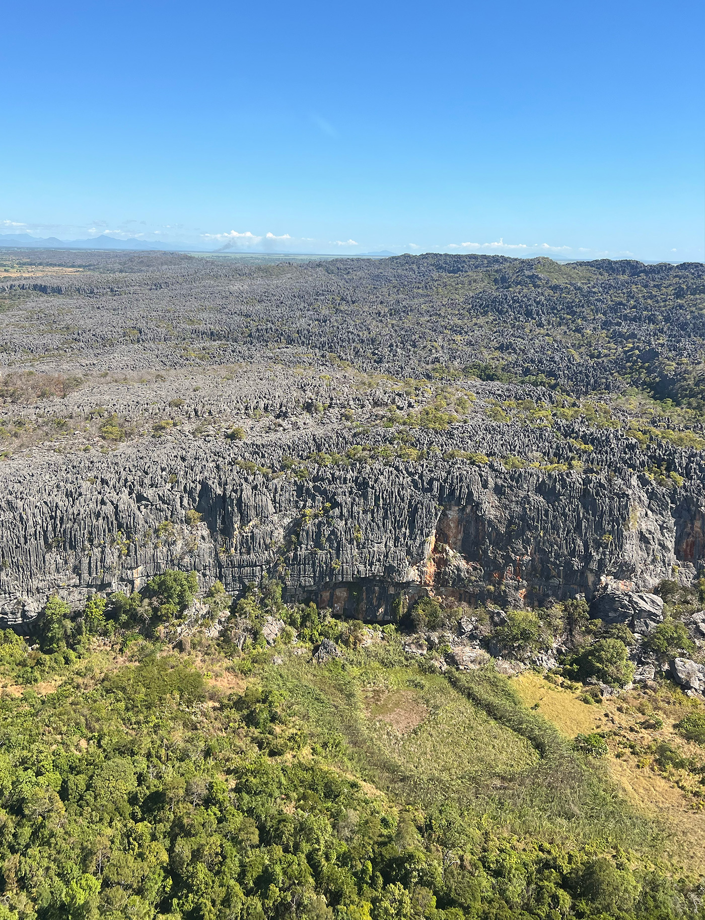 220 227 Feat Madagascar6