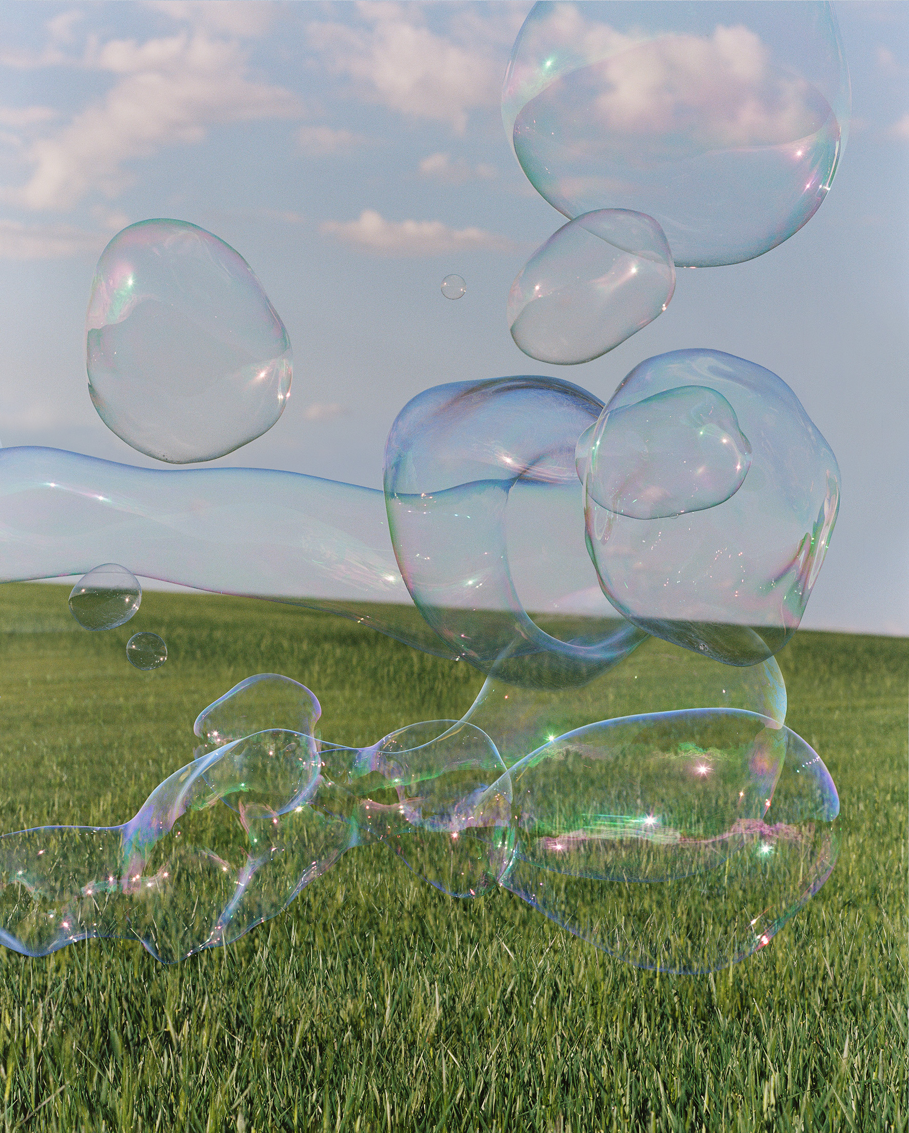 Synchrodogs Soap Bulbs Installation