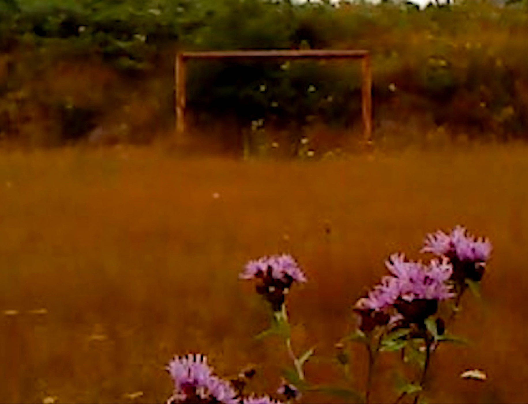 120 127 Feature Locarno Cici Peng B2