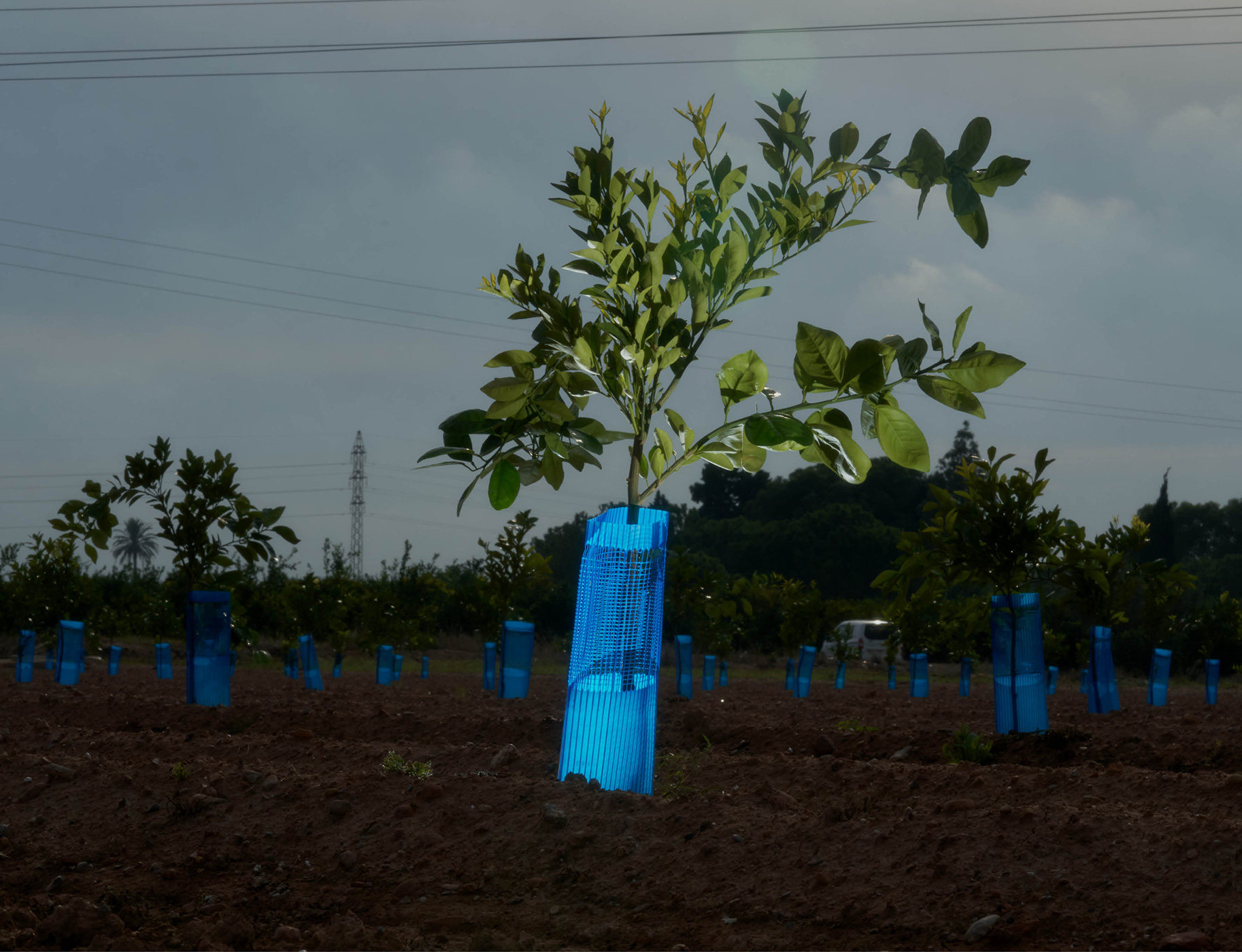 156 163 Feature Museros4